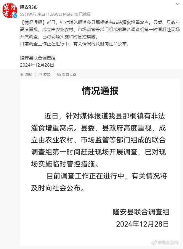 官方通报上千只羊被灌饲料增重 已实施临时管控措施  第1张