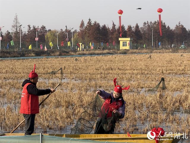 湖北潜江冬虾抢“鲜”上市 打破季节性壁垒  第3张