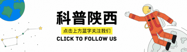 车厘子吃多了不会中毒 科学辟谣放心吃  第1张