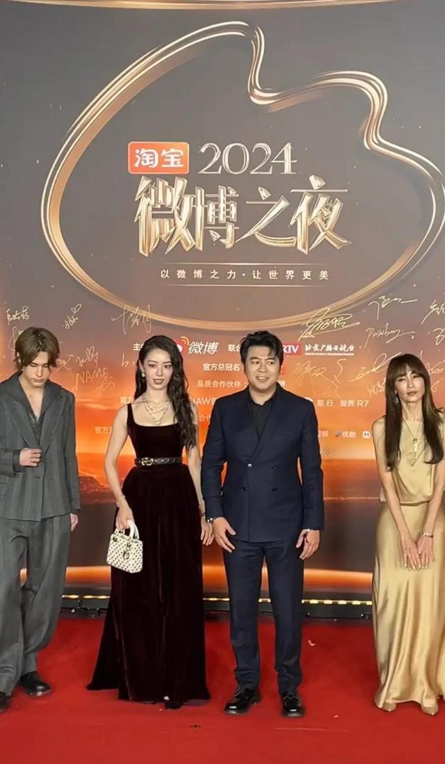 马丽赵丽颖李冰冰汤唯一起走红毯 星光熠熠夜  第17张