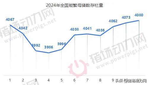 反常！仔猪暴涨到500还“一苗难求” 春节后或继续涨  第4张